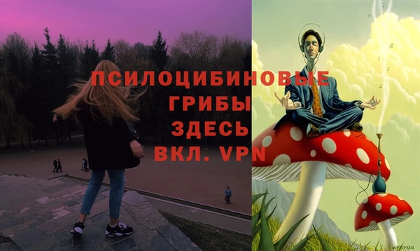 мяу мяу мука Белоозёрский