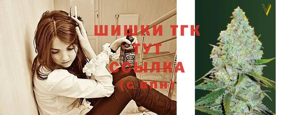 тгк Белокуриха